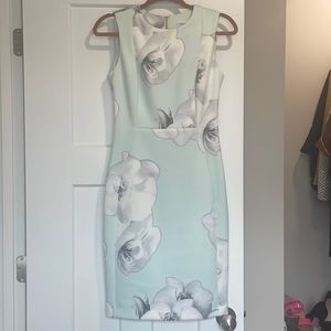 Calvin Klein Shift Dress